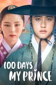 100 Days My Prince: Season 1