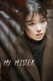 My Mister: Season 1