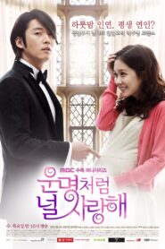 Fated to Love You: Season 1