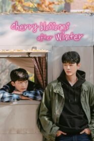 Cherry Blossoms After Winter: Season 1