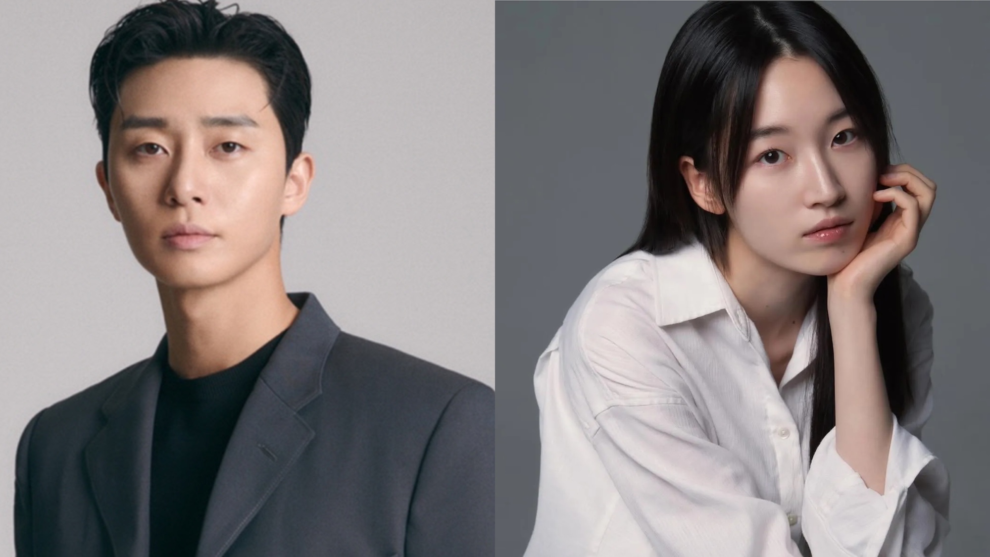 Park Seo-joon, Won Ji-Ahn